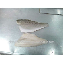 frozen seabass fillets